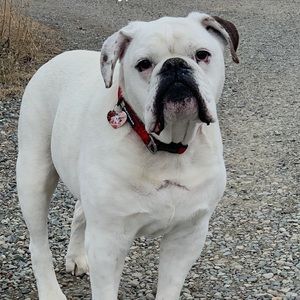 Meet your Posher, Shane